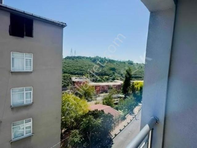 Ulaşıma Yakın Kiralık