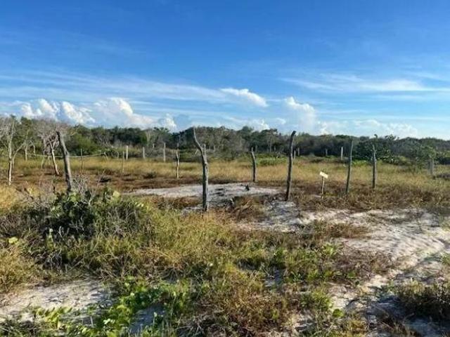 Último lote en frente de la playa de Celestún Yucatán