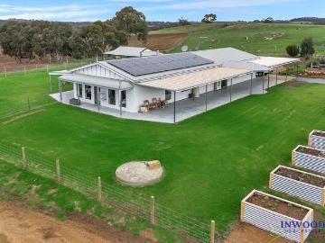 Ultimate Barossa Fringe Acreage: 100+ acres of freedom, country views and modern homestead living