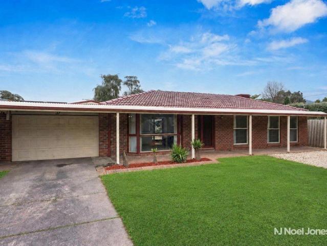 Ultimate Car Enthusiast's Haven on 912m² with Exceptional Family Living