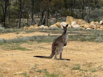 Blanchetown, Mid Murray, South Australia