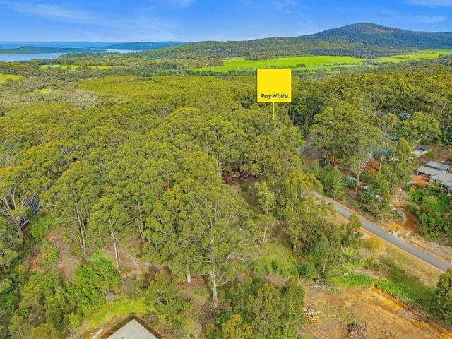 Ultimate Space, Towering Karris & Coastal Proximity