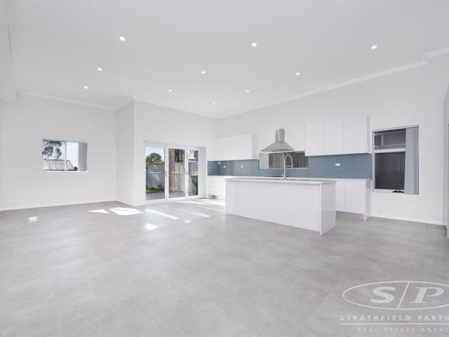 Ultra Modern Home