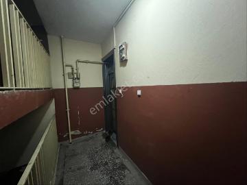 Yenişehir Mahallesi, Haliliye, Şanlıurfa, Şanlıurfa ili, Güneydoğu Anadolu Bölgesi