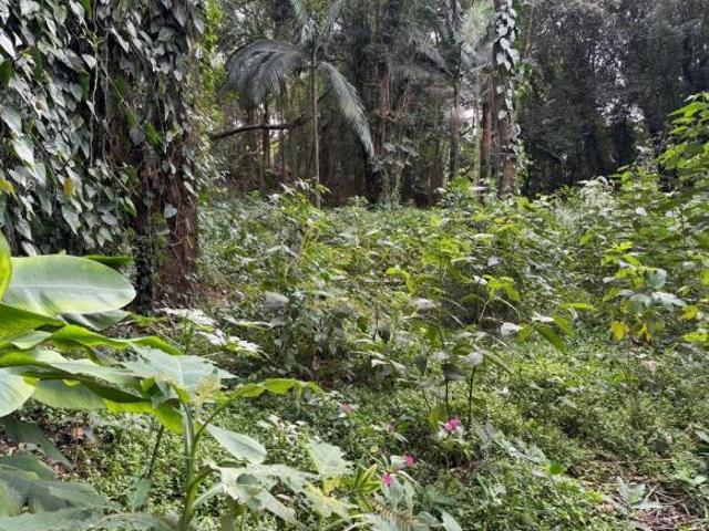 Um dos poucos terrenos que restam na chácara flora com 5100 metros