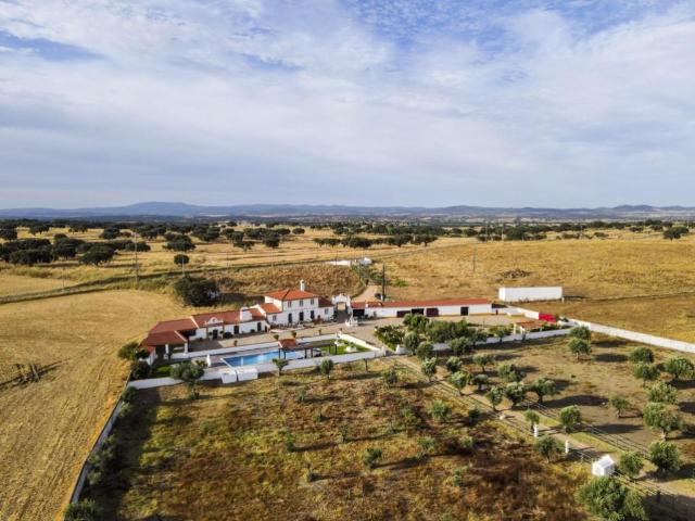 Um monte alentejano do Sec. Xix com 12,2 hectares 316m² Assunção