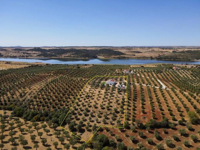 Um Monte inserido nos olivais que margeiam o lago Alqueva 0m² Terena São Pedro