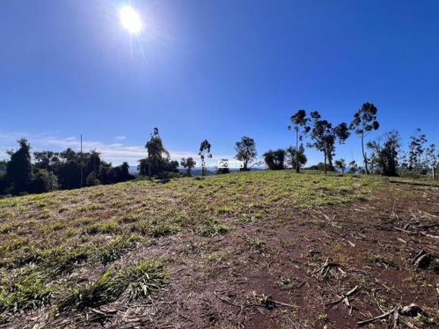 UM MORRO INTEIRO SÓ PARA VOCÊ! Chácara com 5.5 hectares por apenas R$ 260 mil