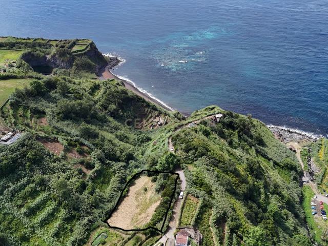 Um refúgio de natureza em plena costa norte de São Miguel!