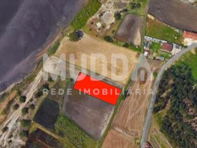 Um refúgio junto à Ria de Aveiro, em Ovar
