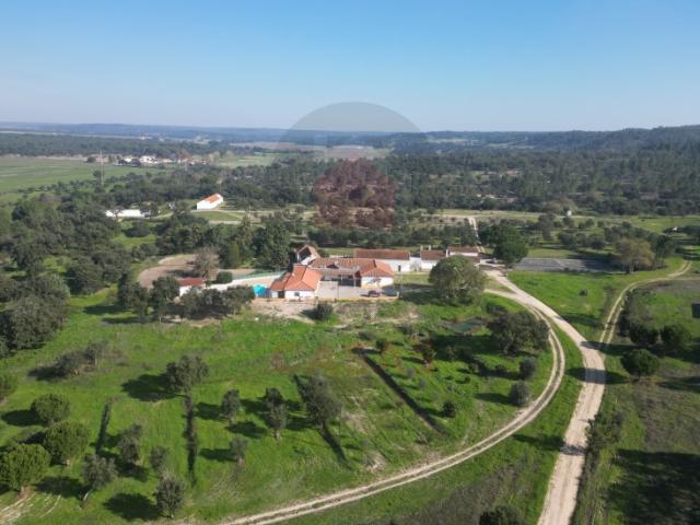 Uma extraordinária quinta perto de Almeirim