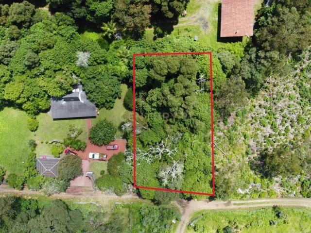 Uma oportunidade única para construir a sua casa de sonho, num verdadeiro refúgio rodeado pela natureza, com a sua própria floresta e perto de tudo