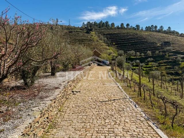 UMA QUINTA PARA VIVER O DOURO