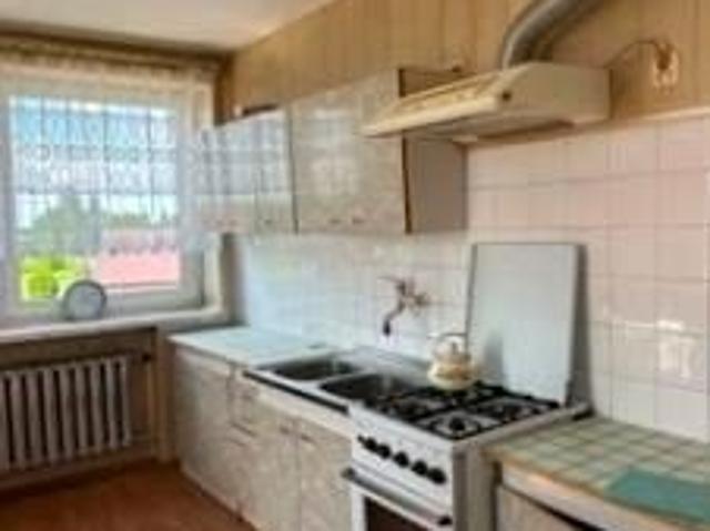 Umeblowany dom wolnostojący 270 m² na wynajem Wiskitki
