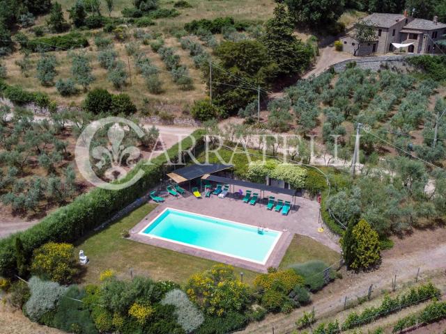 Un antico borgo nel cuore di Gaiole in Chianti con azienda v. 3700m² Gaiole in Chianti