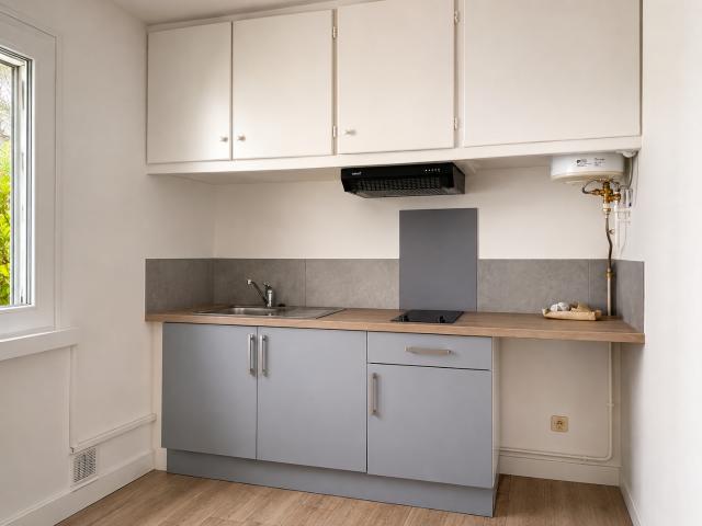 UN APPARTEMENT STUDIO, CLIMATISE, A THUIR 66300