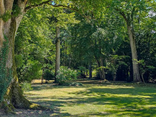 Un château entre histoire et avenir 488m² Pexonne
