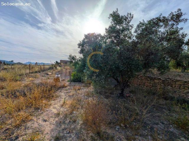 Un hogar con historia, a un paso del Mediterráneo