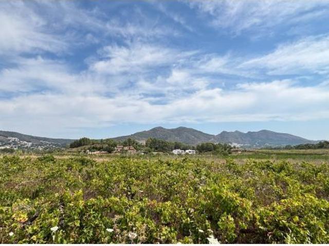 Un oasis mediterráneo de privacidad y naturaleza en el corazón del Valle de Jalón