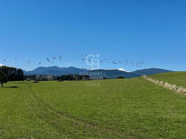 Un Paraíso del Sur de Chile, sitios con acceso al lago. 0 dormitorios por 3500.00 en Puyehue