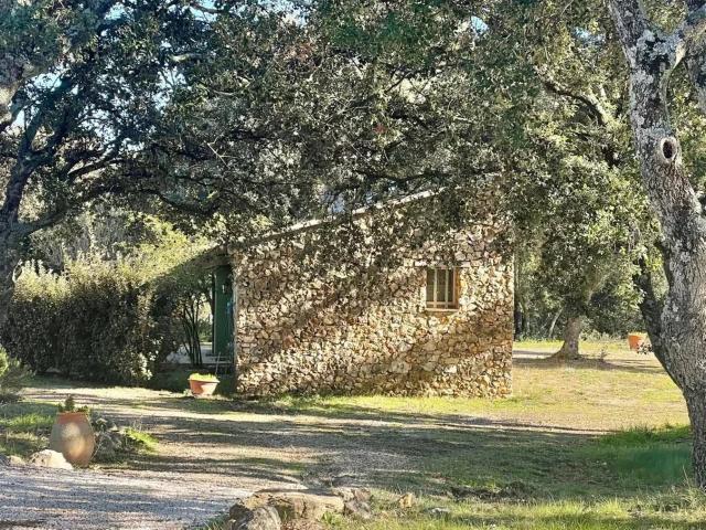 Un refuge d’exception au cœur de la Provence 640m² Moissac Bellevue