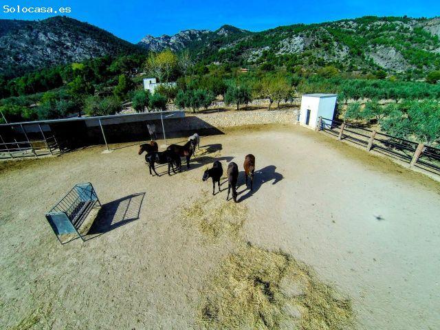 Un refugio de lujo y naturaleza con infinitas posibilidades en Muro de Alcoy