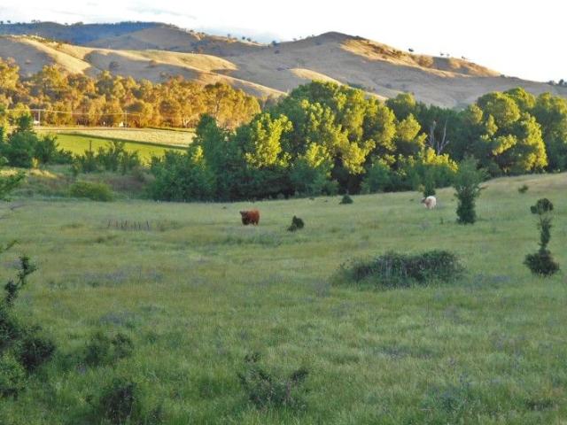 Un Restored Farm House with Expansive Acreage & Subdivision Potential !