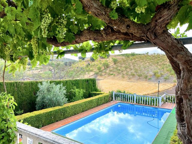Una gran casa unifamiliar en un entorno glorioso con piscina, jardín, garaje y terreno productivo de 11.000 m2