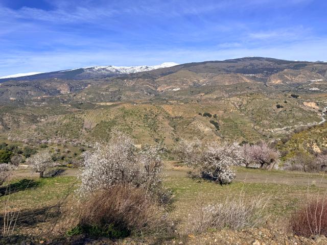 Una finca de 30 hectáreas con Cortijo, Piscina, Bodega y 12.000 vides en el lugar más glorioso