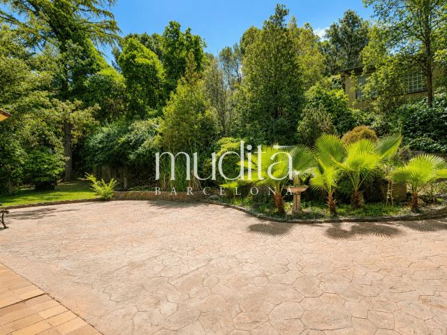 Una finca de montaña donde el bosque entra por las ventanas · Boscos del Montnegre, Sant Celoni