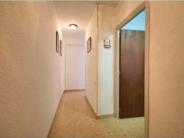 ? Una oportunidad con infinitas posibilidades en San Blas, Alicante. Piso de 2 dormitorios y un baño