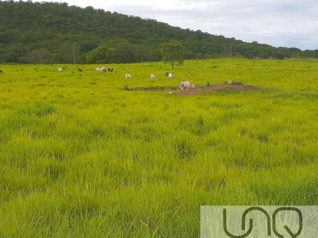 UNAÍ MG FAZENDA