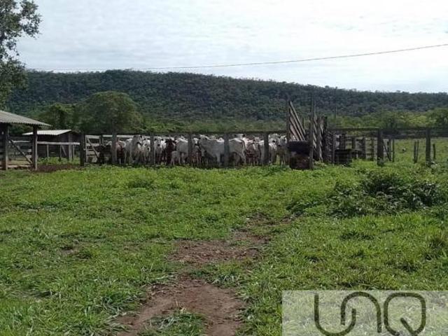 UNAÍ MINAS GERAIS FAZENDA