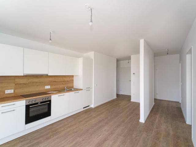 Modern Wohnen im Grünen: Ihr neues Zuhause im Herzen des Tullnerfelds