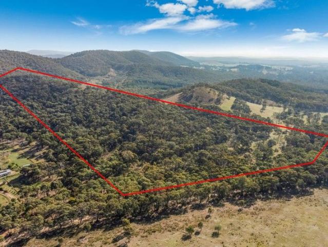 Undulating, Treed and Cleared 40 Acres
