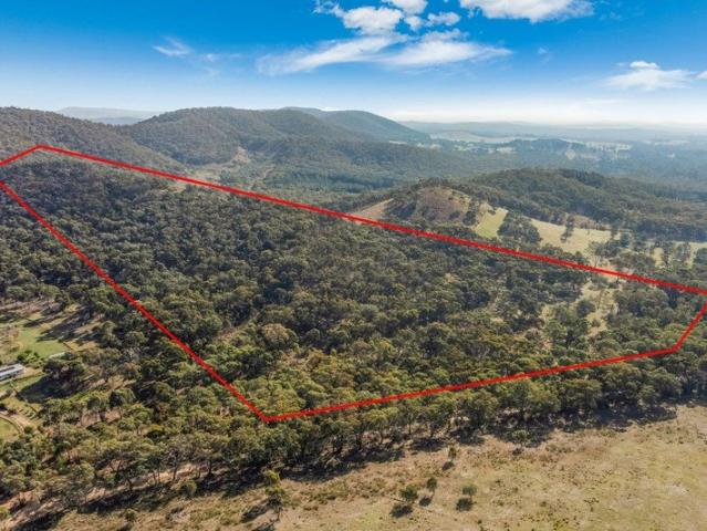 Undulating, Treed and Cleared 40 Acres
