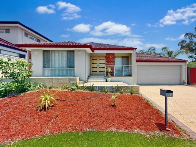 UNDER APPLICATION Modern Sensational Family Home in the Heart of Willetton