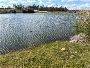 Quairading, Little Island, Western Australia