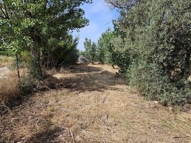 Undeveloped Land for rent in Hormigos, Toledo
