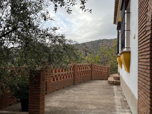 Undeveloped Land for rent in Riogordo, Málaga
