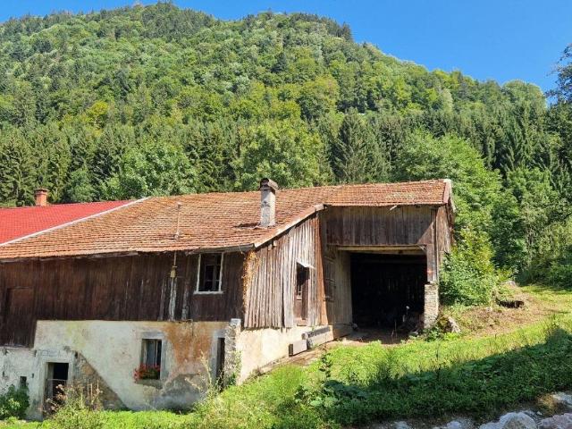 Une ferme mitoyenne à rénover entièrement avec un énorme pot. 230m² Orcier