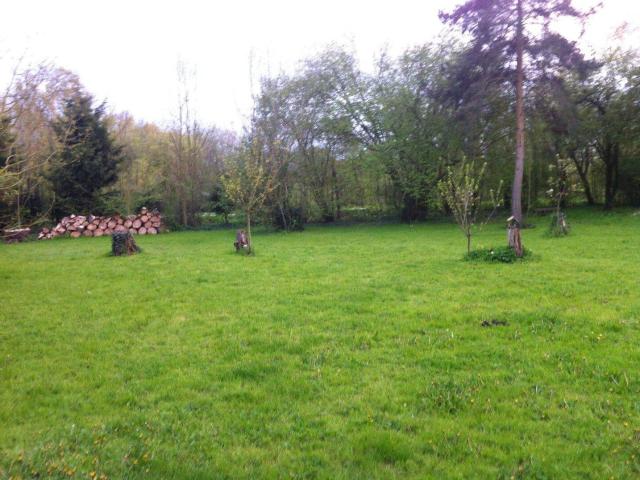 une ile dans les Hortillonages