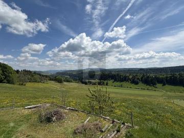 UNE VUE MAGNIFIQUE SUR LA NATURE
