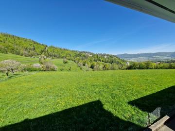 Une vue sur la campagne pour une vie paisible