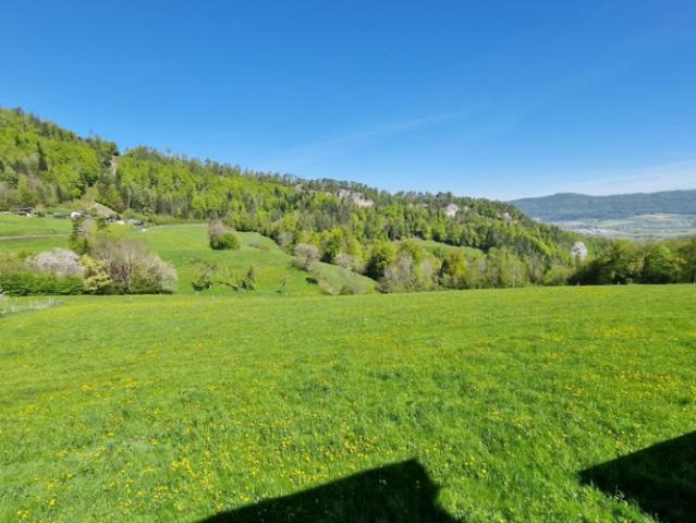 Une vue sur la campagne pour une vie paisible