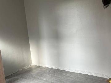 Flatbush, New York city, New York, USA