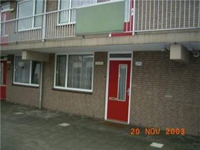 Unité indépendante de 2 pièces, Zeelsterstraat 270, Eindhoven À louer