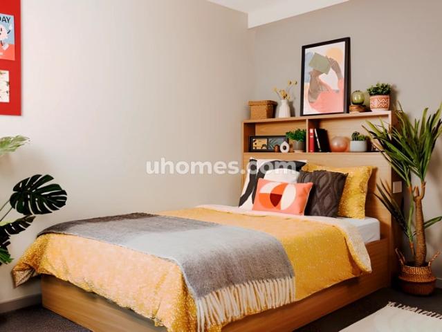 Unite Students Manor Bank｜Large high Double