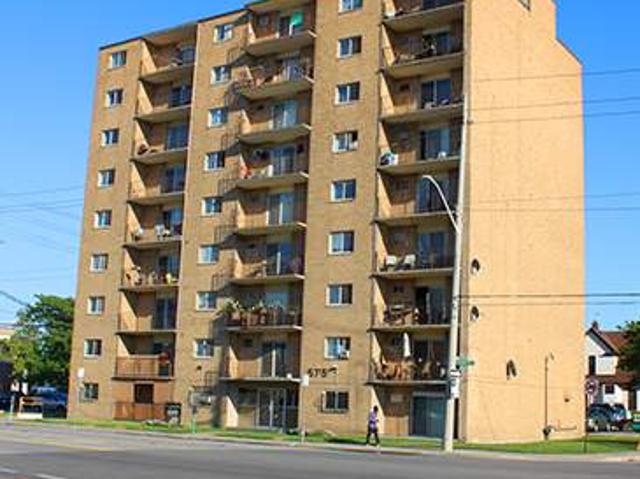 University Avenue Apartments Bachelor Apartment Apartment for Rent
