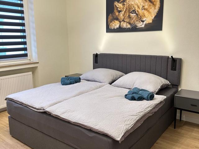 University Hospital & Essen Exhibition Center M&S Apartment with Balcony, Essen Amsterdam Apartments for Rent